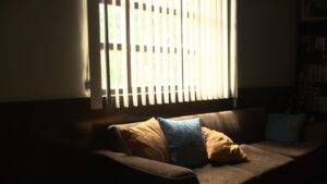 Ein braues Luxus Microfaser Sofa sthet vor einem Fenster und wird durch die Sonne beschienen